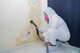 Environmental Consulting for Mold Prevention in Lafourche Crossing, LA